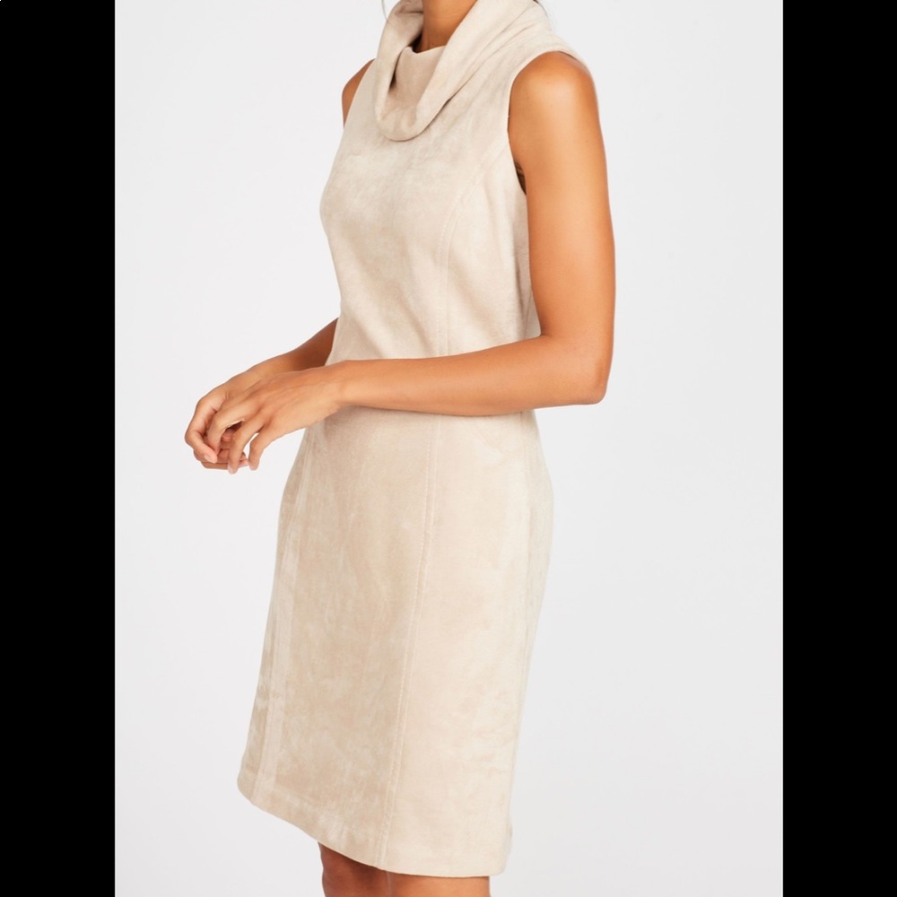 J. McLaughlin Camino Faux Suede Dress